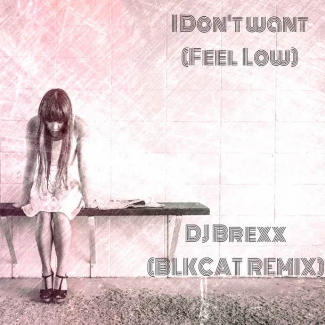 I Don't Want (Feel Low) - Blk Cat Remix