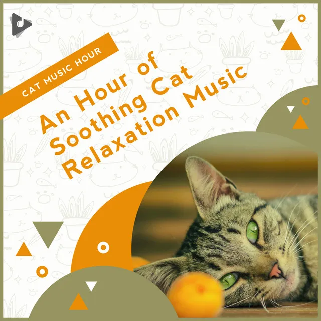 Background Music for Cats