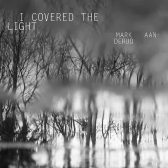 I Covered the Light by Mark Aanderud