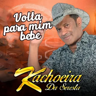 Volta Pra Mim Bebe by Kachoeira da Seresta