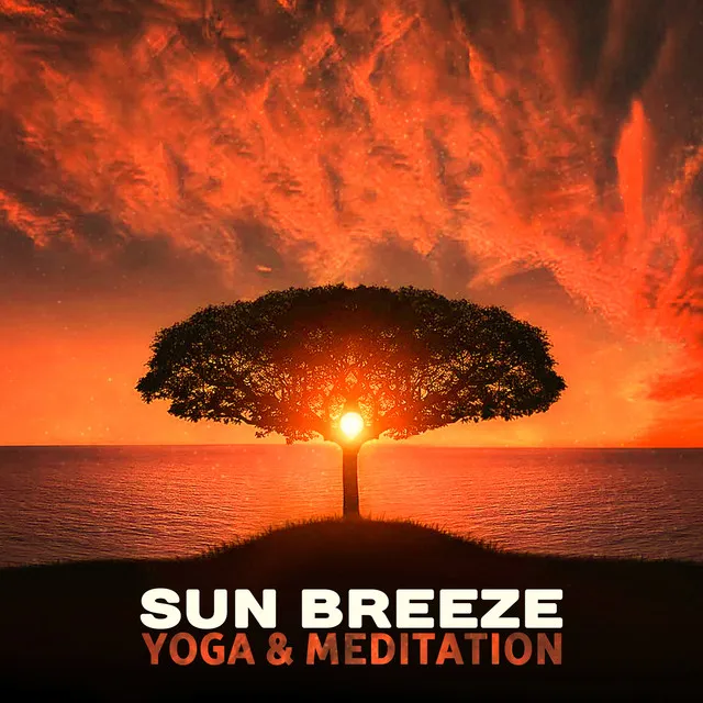 Healing Yoga Meditation Music Consort / Mindfulness Meditation Universe