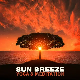 Sun Breeze: Yoga & Meditation – Morning Sounds of Garden, Music Stimulation, Sun Salutation, Deep Meditation by Healing Yoga Meditation Music Consort / Mindfulness Meditation Universe