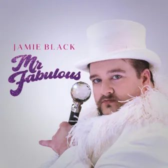 Mr Fabulous by Jamie Black