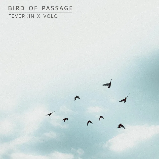 Bird of Passage