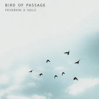 Bird of Passage by VOLO