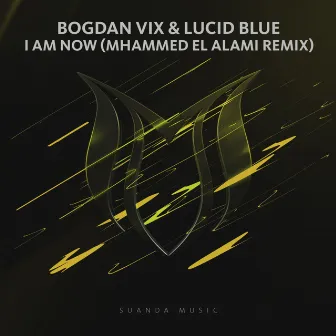 I Am Now (Mhammed El Alami Remix) by Bogdan Vix