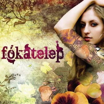 Fókatelep by Fókatelep