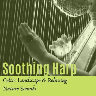 Soothing Harp: Celtic Landscape & Relaxing Nature Sounds by Unknown Artist