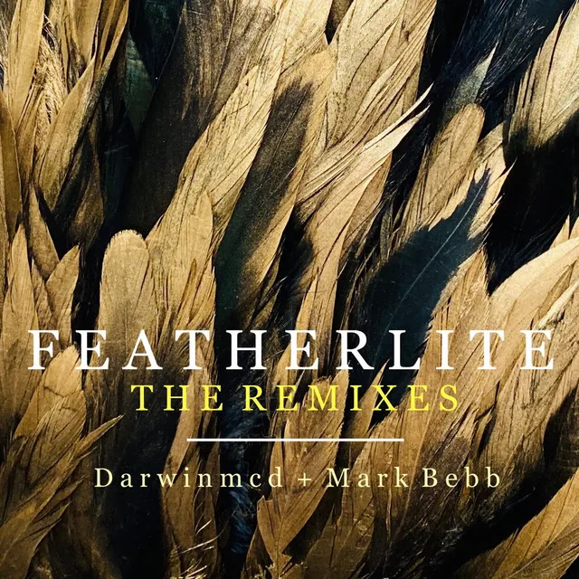 Featherlite - 12" Extended Remix