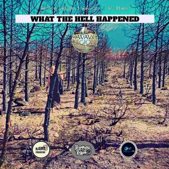 What The Hell Happened by Al Black