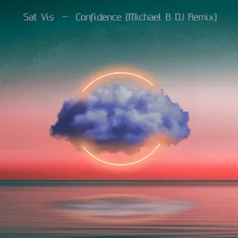 Confidence (Michael B DJ Remix) by Michael B DJ