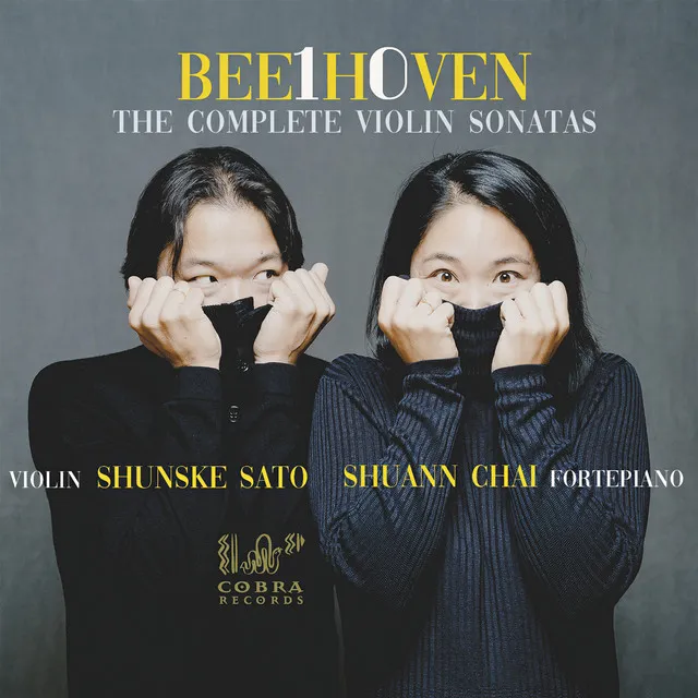 Sonata for Piano and Violin No. 1 in D Major , Op. 12 No. 1: I. Allegro con brio - Fortepianio & Violin