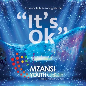 It's Ok by Mzansi Youth Choir