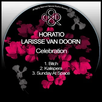 Celebration by Larisse Van Doorn