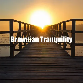 Brownian Tranquility by Healing Noise