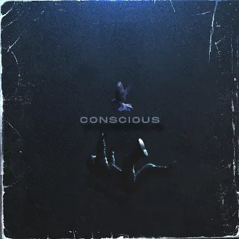 Conscious by BadKohai