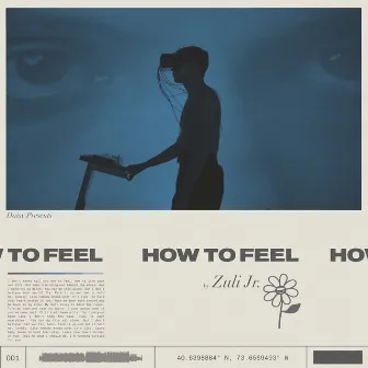 How to Feel by Zuli Jr.