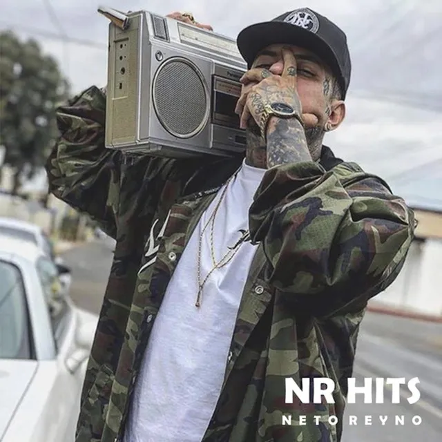 Nr Hits