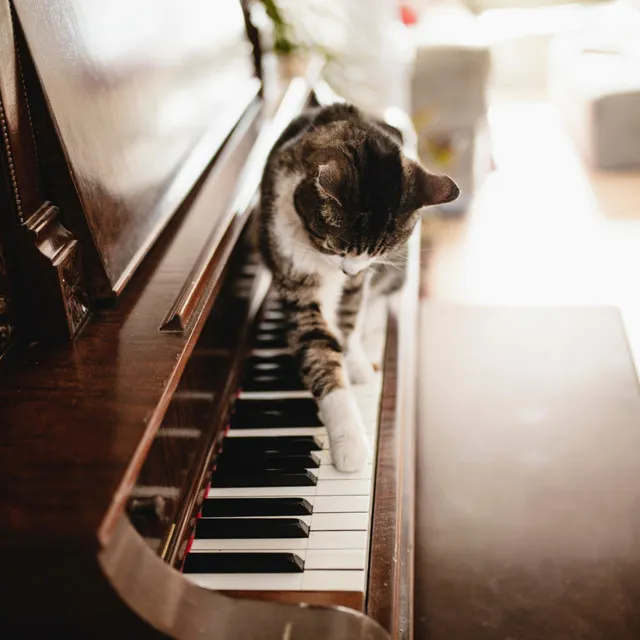 Catnap Serenity: Piano Serenades for Feline Dreams