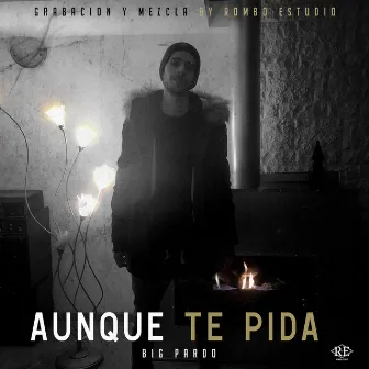 AUNQUE TE PIDA by Big Pardo