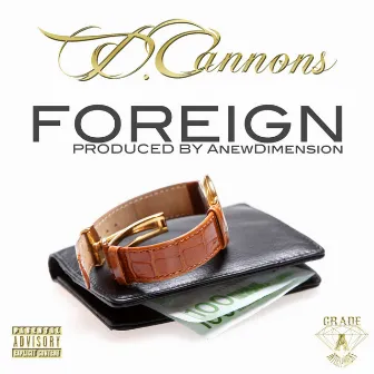 Foreign by D. Cannons