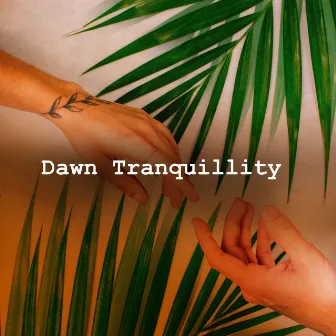 Dawn Tranquillity by Tranquil Forest Effect