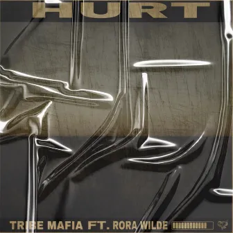 Hurt by Tribe Mafia