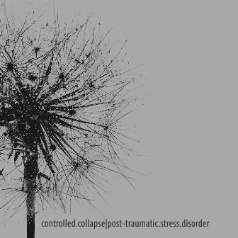 Post-Traumatic Stress Disorder by Controlled Collapse