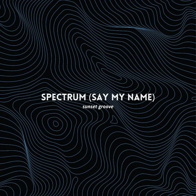 Spectrum (Say My Name)