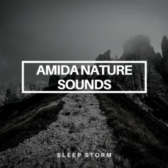 Sleep Storm by Amida Nature Sounds