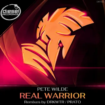 Real Warrior by Pete Wilde