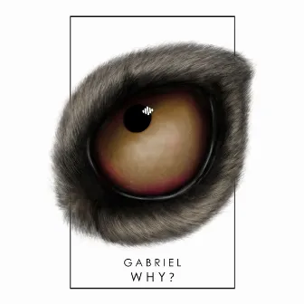 Why? by Gabriel