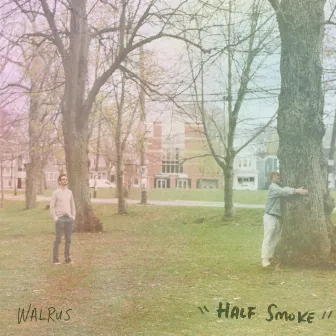 Half Smoke by Walrus