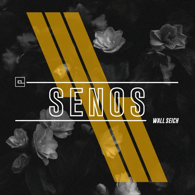 Senos - Dub Mix