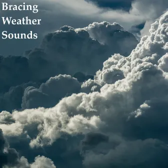 Bracing Weather Sounds by Calm of Water