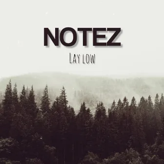 Lay Low by Notez