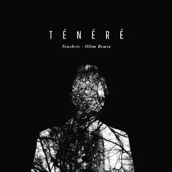 Tenebris (Olëm Remix) by Ténéré