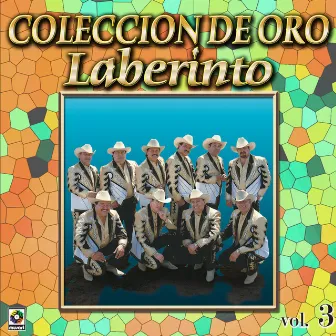 Colección de Oro, Vol. 3 by Grupo Laberinto