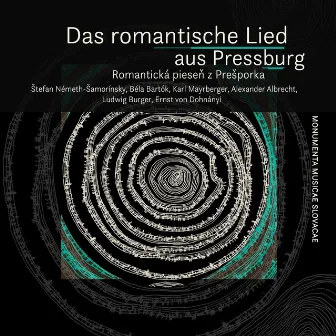 Das romantische Lied aus Pressburg by Tomáš Šelc