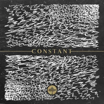 Constant by Harvest Music Live