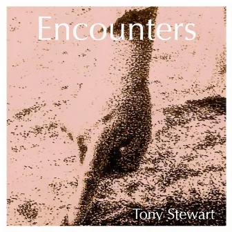 Encounters by Tony Stewart