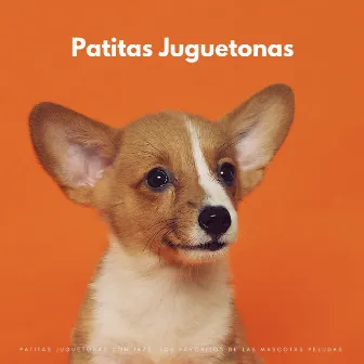 Patitas Juguetonas Con Jazz: Los Favoritos De Las Mascotas Peludas by Alegre Instrumental Café Jazz