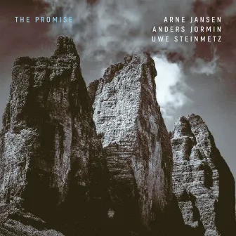 The Promise by Uwe Steinmetz