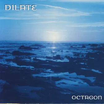 Octagon by Dilate