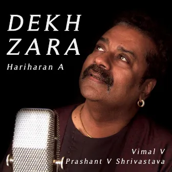 Dekh Zara by Unknown Artist