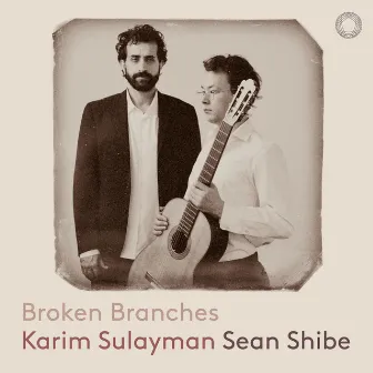 Broken Branches by Sean Shibe