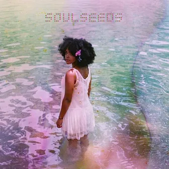 SoulSeeds by Hanna Lashay