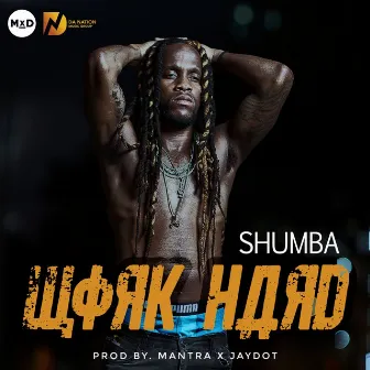 Work Hard by Shumba