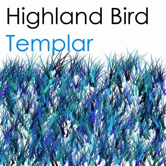 Templar by Highland Bird