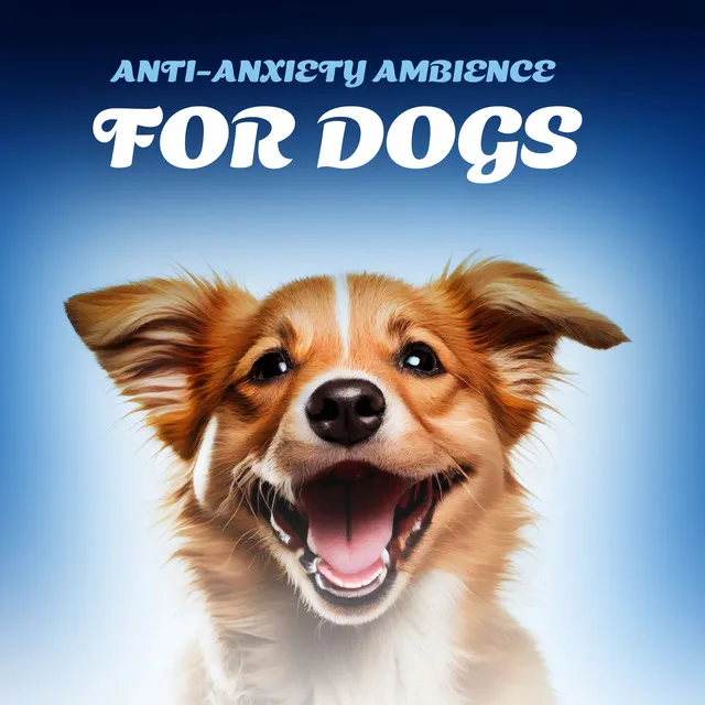 Anti-anxiety Ambience for Dogs